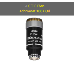 NIKON尼康 CFI E Plan Achromat 100X Oil 物镜