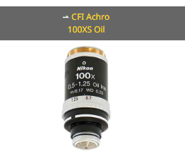 NIKON尼康 CFI Achro 100XS Oil 物镜