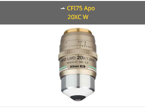 NIKON尼康 CFI75 Apo 20XC W 物镜