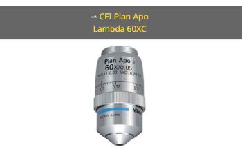 NIKON尼康 CFI Plan Apo Lambda 60XC 物镜