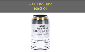 NIKON尼康 CFI Plan Fluor 100XS Oil 物镜