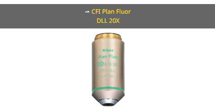 NIKON尼康 CFI Plan Fluor DLL 20X 物镜