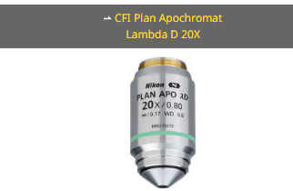 NIKON尼康 CFI Plan Apochromat Lambda D 20X 物镜
