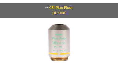 NIKON尼康 CFI Plan Fluor DL 10X 物镜