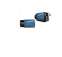 IMAVISION大恒图像 MER-231-41GM C-P 工业相机