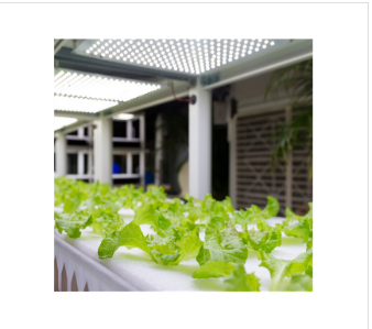 Optomarine智能农业LED灯OMT-3LM