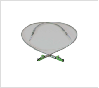 FBGS光栅传感器DTG- A3A4-F00