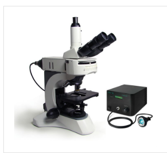 POLYSCIENCES直立荧光显微镜25039-1