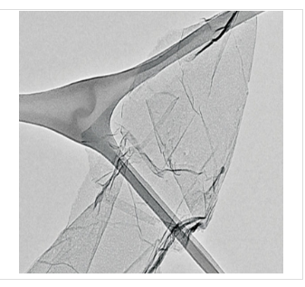 AVANZARE氧化石墨烯av-GOX-70