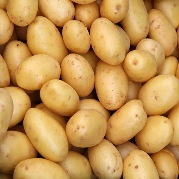 微信截图_20250115150341