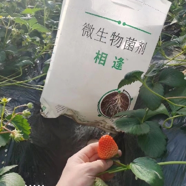 微信截图_20250115150503