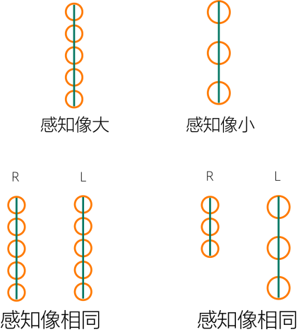 视锥细胞发育影响感知像大小
等像：双眼视网膜像对应视锥细胞数量相同！视锥细胞是人眼的光感受器，视网膜像通过视锥细胞感知；视锥细胞的密度影响感知像大小。
&nbsp;