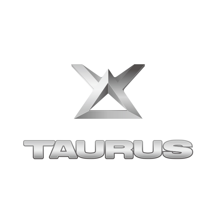 福特金牛座标志设计