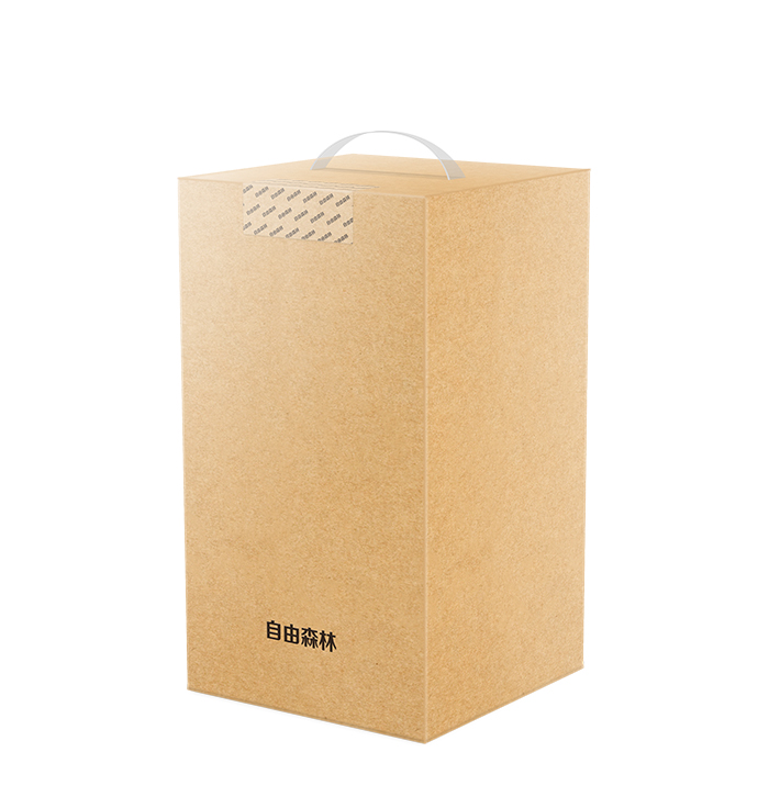 自由森林桌面空气净化器包装设计