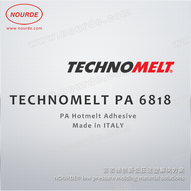 TECHNOMELT PA 6818