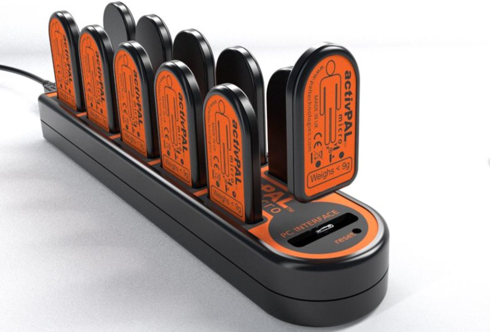 PAL体动监测能量消耗仪