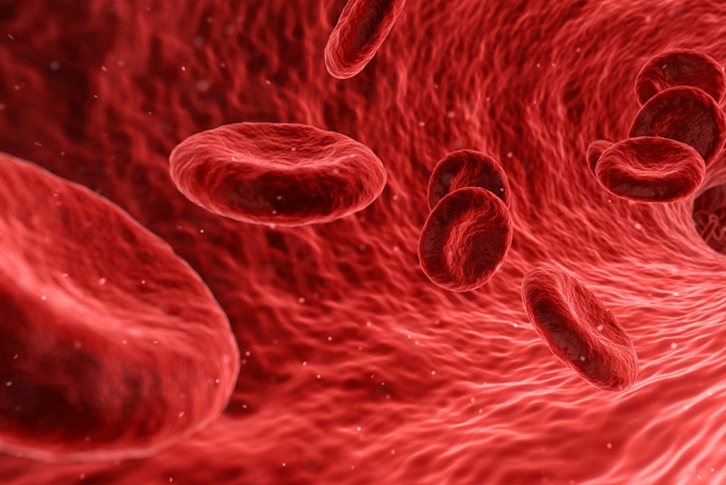 Ferrous Bisglycinate 20%