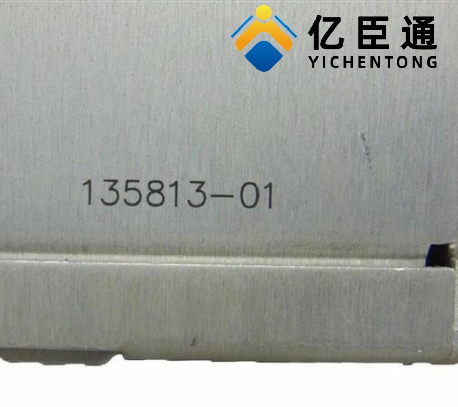 Bently Nevada 135813-01 显示接口 I/O 模块