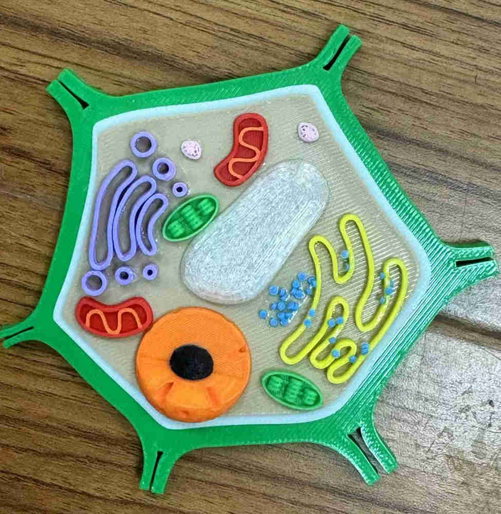 0f79e9b89016b72d880f148b1b0710e0.jpg