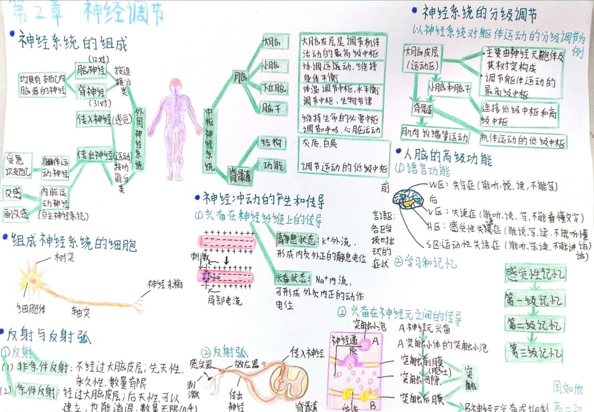 357cafae25b18cea88ce0f76550130b5.png