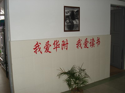 3b9aee3d7fbb5b19ee0741fd133cb76b.jpg