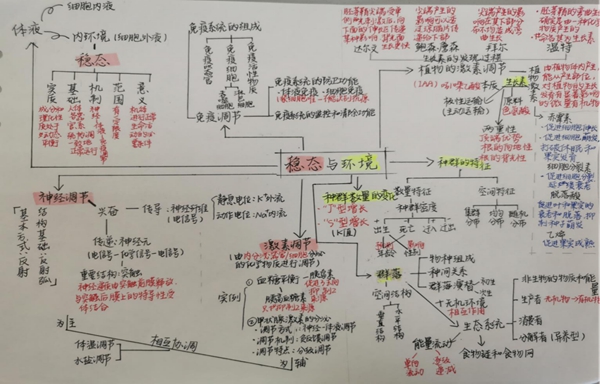 3db792c7c535831fc391575ad44844d0.jpg