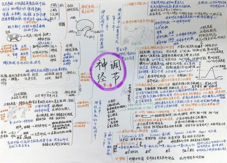 6b76c9d9b82c34b8171ba9798b791c56.jpg