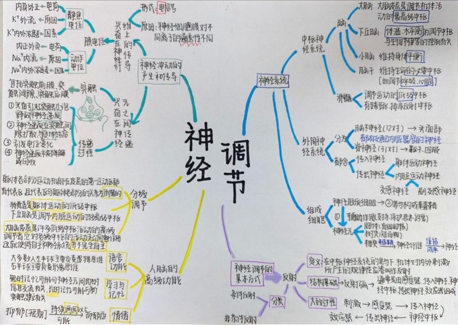 6d1fad7831a6f42025bccc0399d91a93.jpg