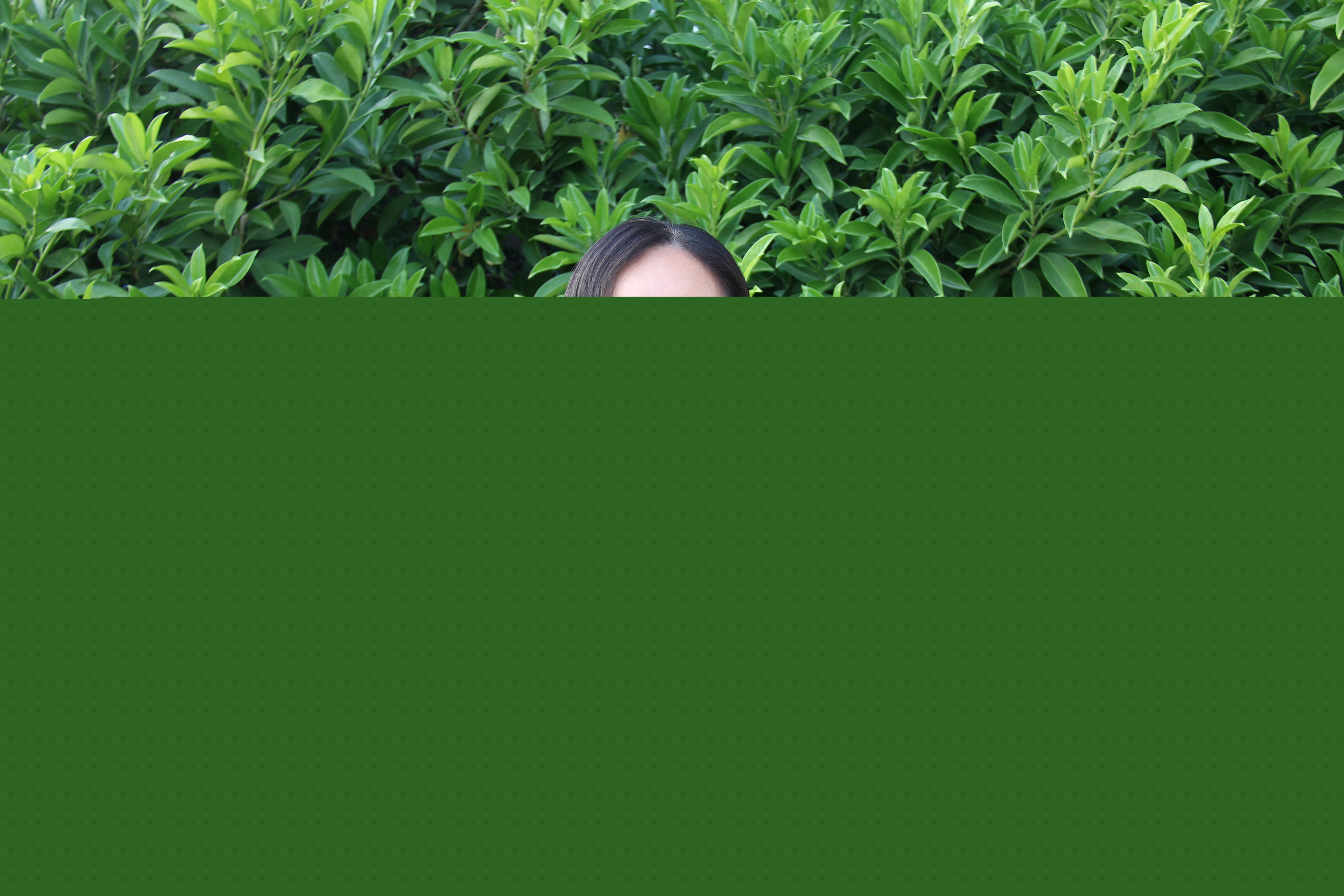 8ebe7485d4a489de0059076598b157bf.jpg