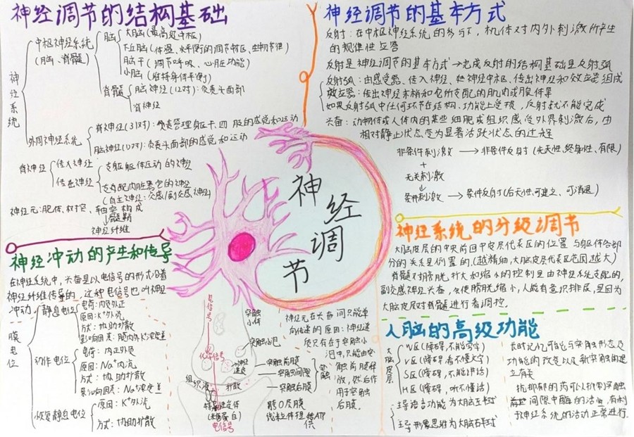 a0105cda6564d52eba94b612c28c4959.jpg
