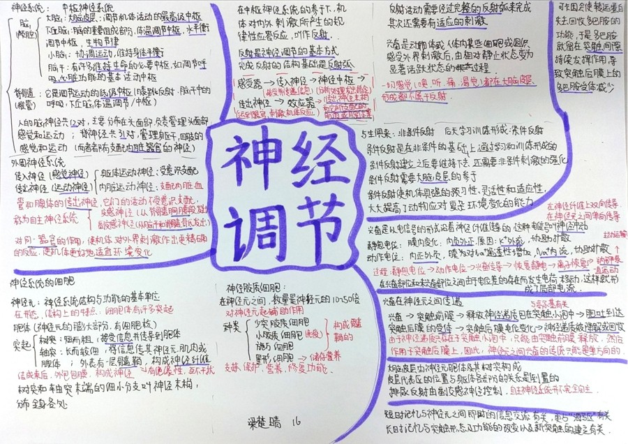 aa92923ea1098a67174c5a737fb15ca0.jpg