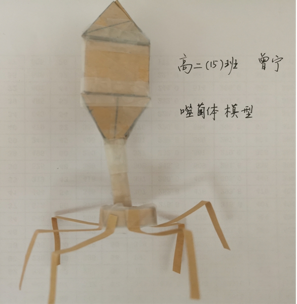 b8f024d61ae8e0d088bde579db50b19f.jpg