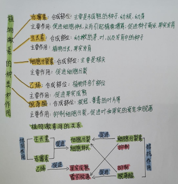 de1f9701b586ee45949010cdd577d2b7.jpg