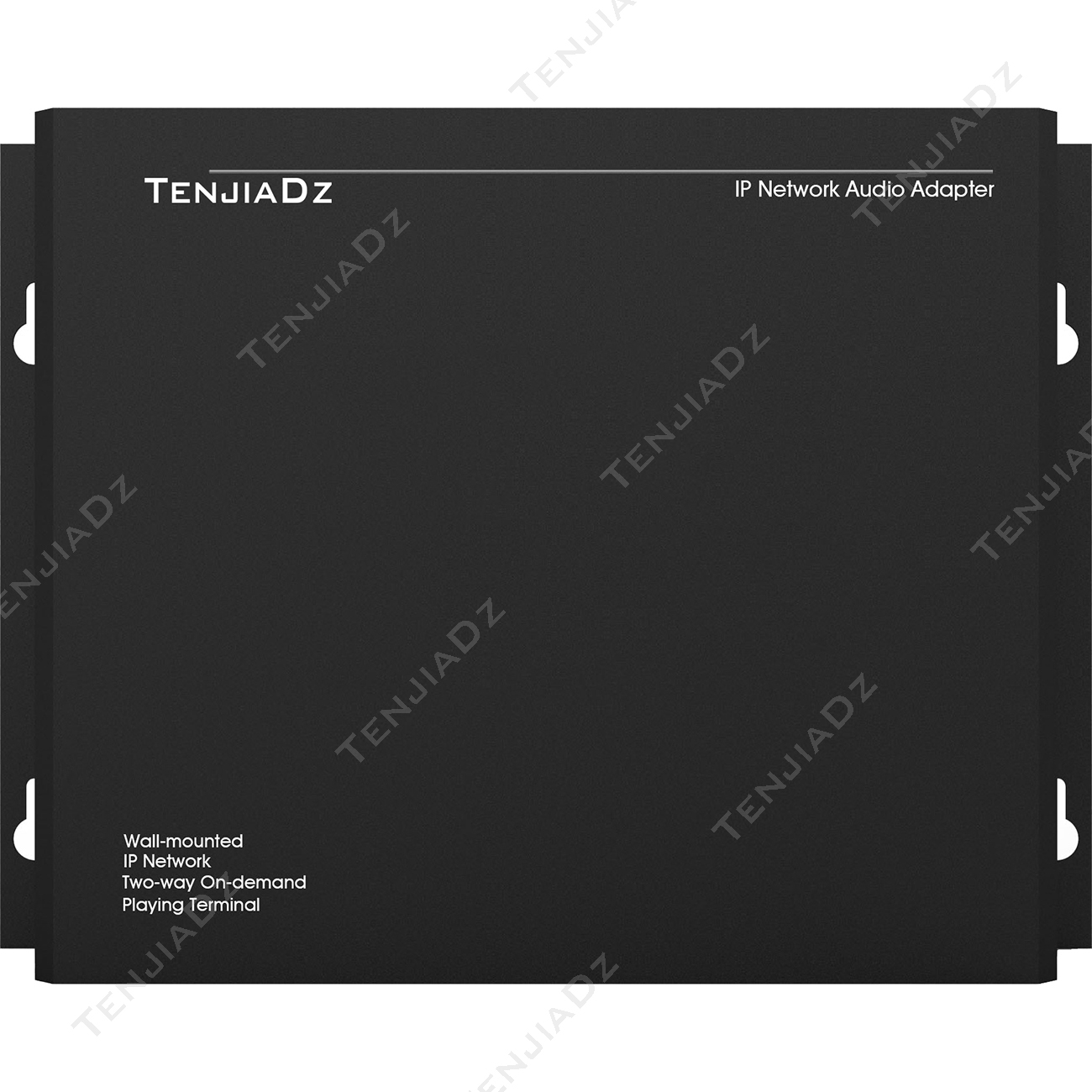 数字网络终端 TD-4605A