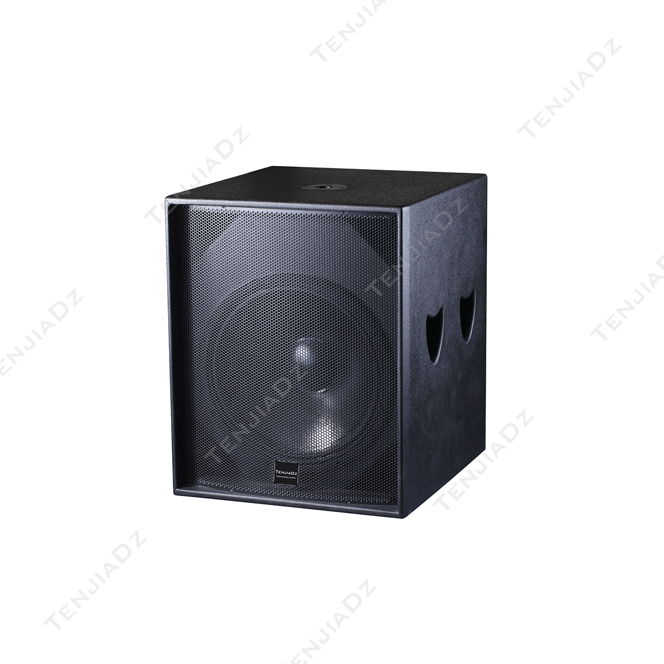 高端会议低音音箱 TE-318S