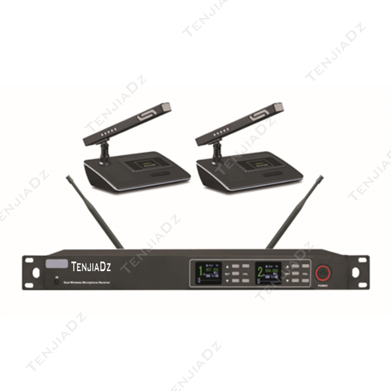 一拖二无线鹅颈话筒 TE-422H