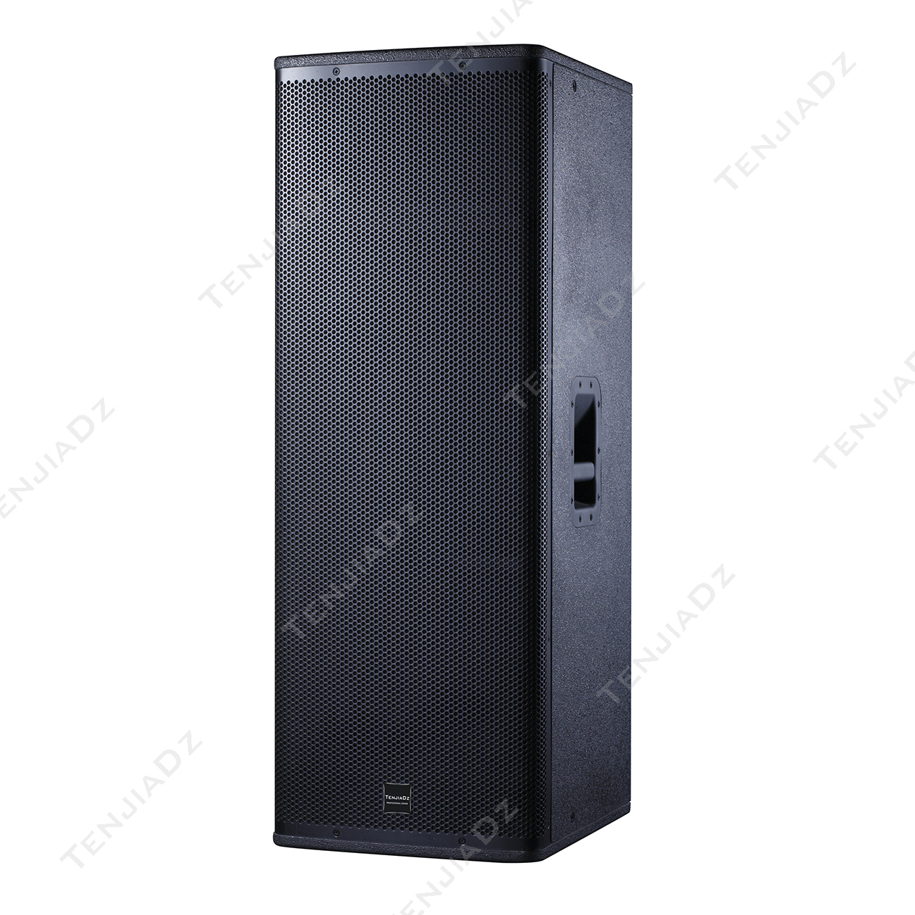 高端娱乐音箱 TE-R40，TE-R42，TE-R45