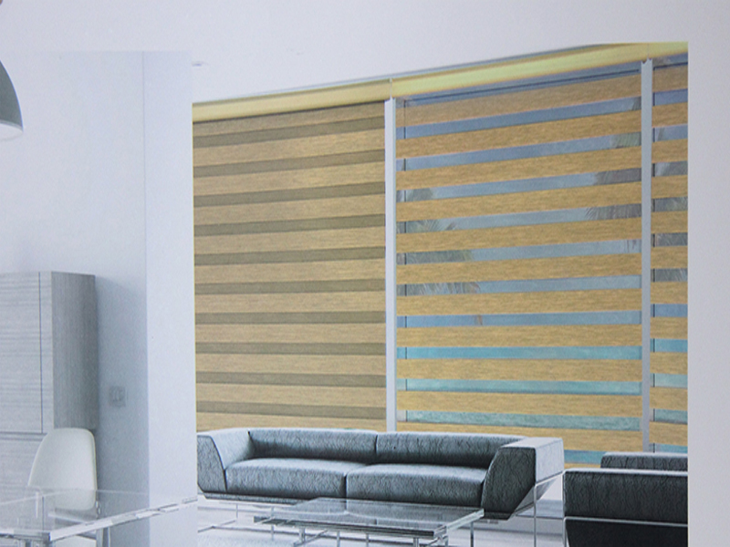 斑马柔纱帘色版