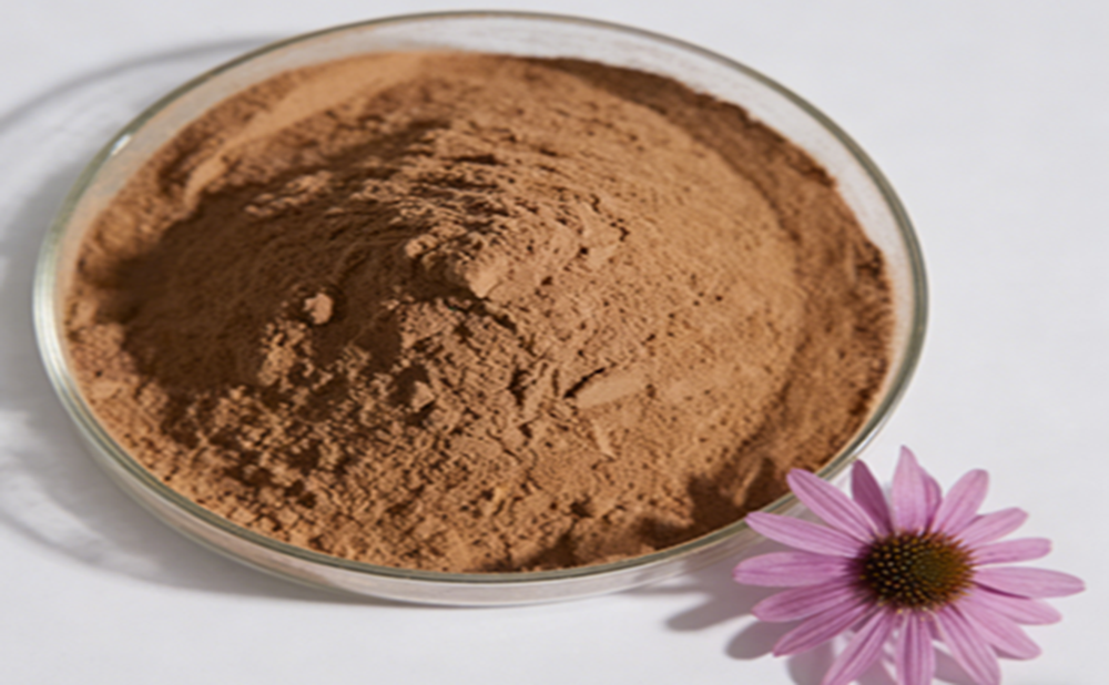 Echinacea Extract