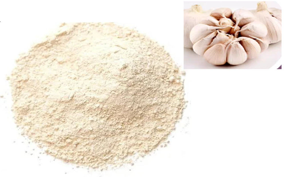 Garlic Extract