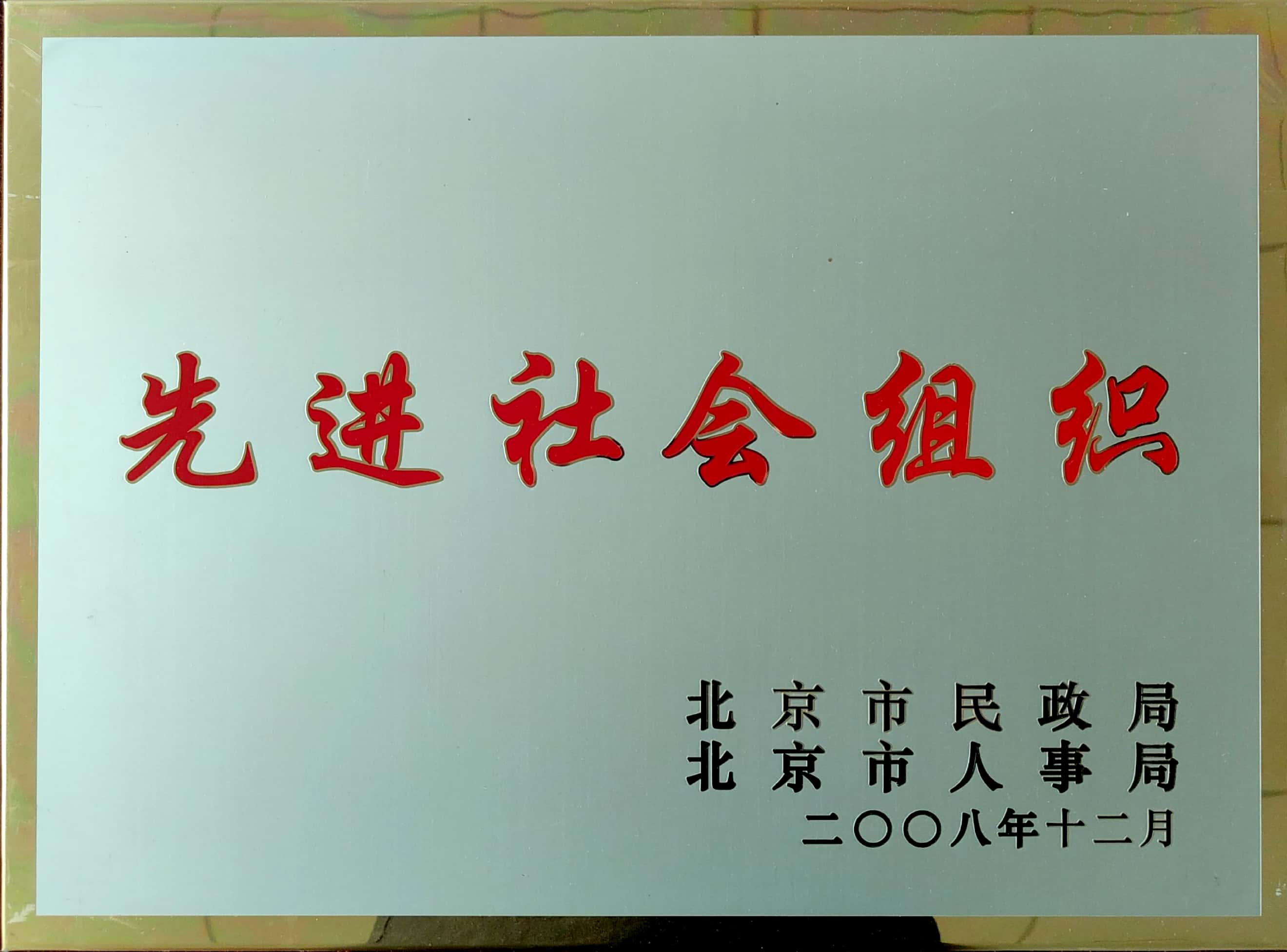 先进社会组织
