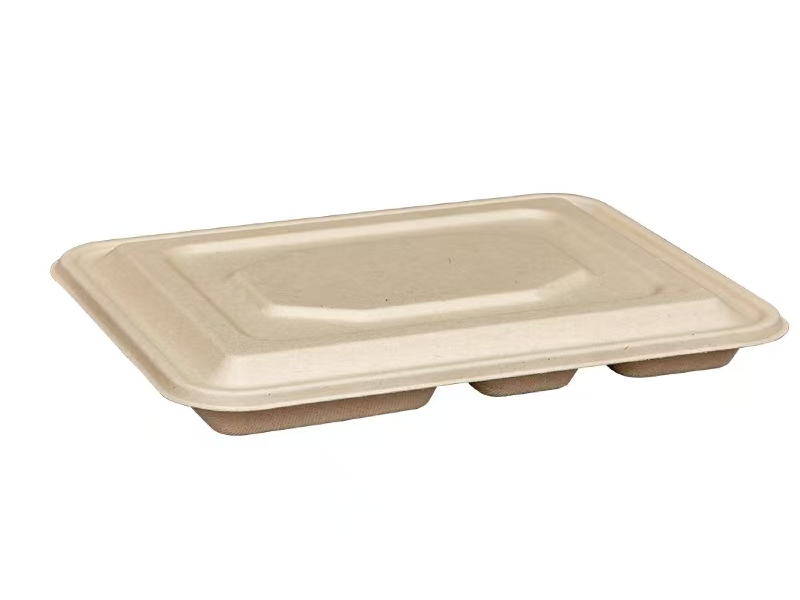 可降解纸浆饭盒