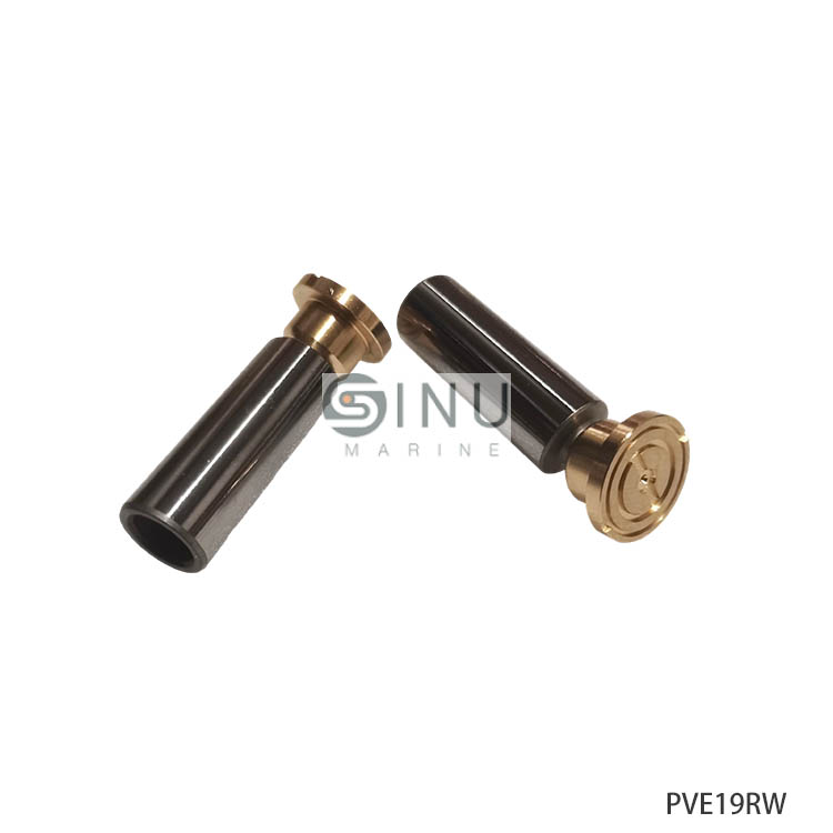 PVE19RW液压泵柱塞滑靴