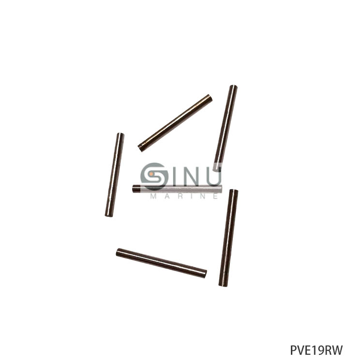 PVE19RW液压泵顶针