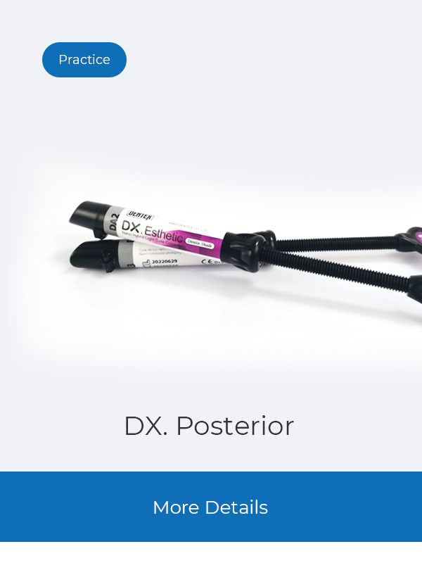 DX. Posterior