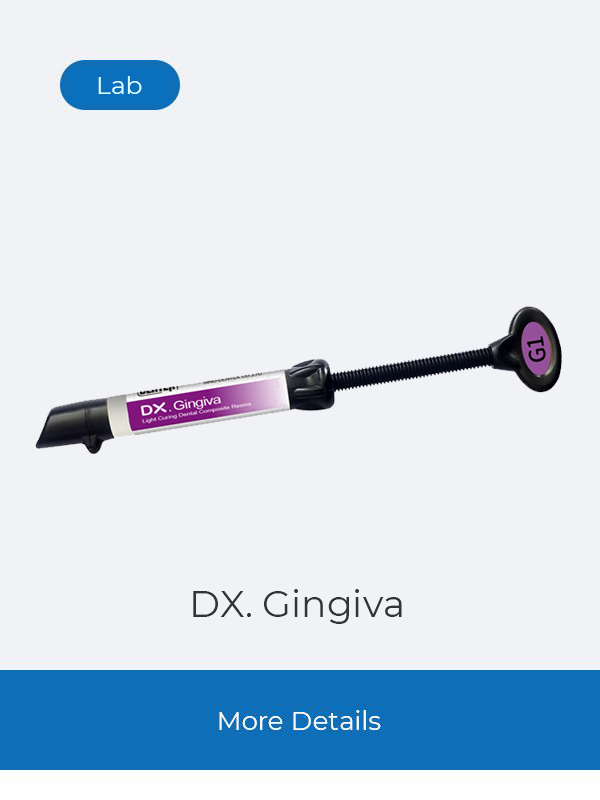DX. Gingiva