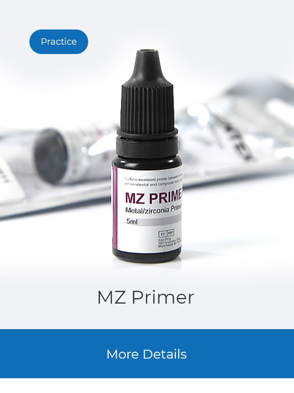 DX. MZ Primer