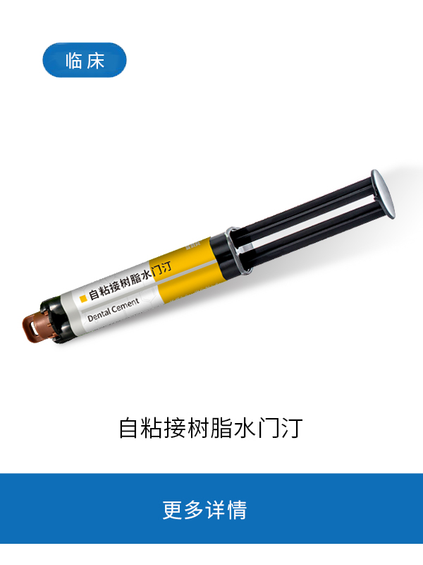 聚合物基双固化（桩核）.copy