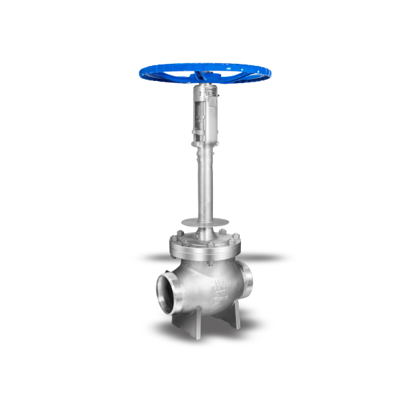 Cryogenic Globe Valves