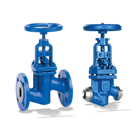 DIN EN Soft-seated globe valves